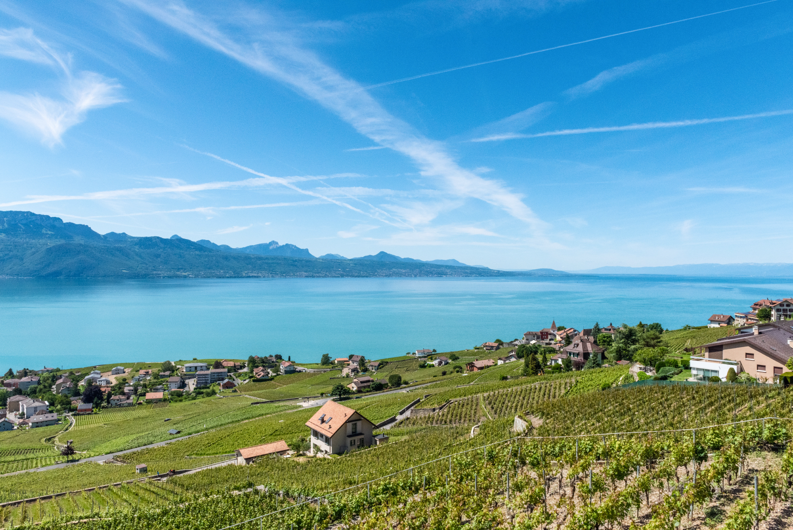 SD'A Immobilier